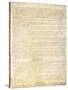 U.S. Constitution Page 3 Plastic Sign-null-Stretched Canvas