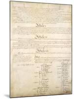 U.S. Constitution Page 4 Plastic Sign-null-Mounted Art Print