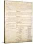 U.S. Constitution Page 4 Plastic Sign-null-Stretched Canvas