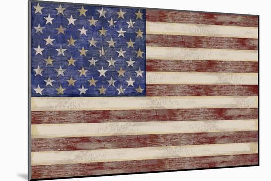 U.S. Flag-Sparx Studio-Mounted Art Print