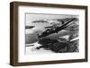 U.S. Flying Fortress, WWII-null-Framed Photographic Print