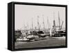 U.S. Government Fleet at Sault Ste. Marie, Mich.-null-Framed Stretched Canvas