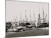 U.S. Government Fleet at Sault Ste. Marie, Mich.-null-Mounted Photo