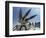 U.S. Hawk Anti-Air Craft Missiles-Endicher-Framed Photographic Print