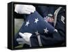 U.S. Honor Guard Performs a Flag Folding Demonstration-null-Framed Stretched Canvas