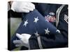 U.S. Honor Guard Performs a Flag Folding Demonstration-null-Stretched Canvas