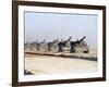 U.S. Howitzers-Dejong-Framed Photographic Print