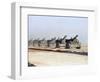 U.S. Howitzers-Dejong-Framed Photographic Print