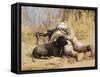 U.S. Marine And a Military Working Dog Provide Security in Afghanistan-Stocktrek Images-Framed Stretched Canvas