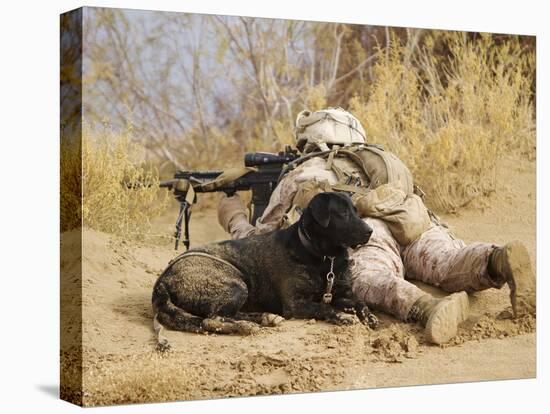 U.S. Marine And a Military Working Dog Provide Security in Afghanistan-Stocktrek Images-Stretched Canvas