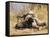 U.S. Marine And a Military Working Dog Provide Security in Afghanistan-Stocktrek Images-Framed Stretched Canvas