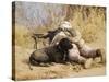 U.S. Marine And a Military Working Dog Provide Security in Afghanistan-Stocktrek Images-Stretched Canvas