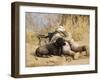 U.S. Marine And a Military Working Dog Provide Security in Afghanistan-Stocktrek Images-Framed Photographic Print