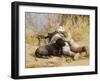 U.S. Marine And a Military Working Dog Provide Security in Afghanistan-Stocktrek Images-Framed Photographic Print