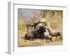 U.S. Marine And a Military Working Dog Provide Security in Afghanistan-Stocktrek Images-Framed Photographic Print