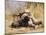 U.S. Marine And a Military Working Dog Provide Security in Afghanistan-Stocktrek Images-Mounted Photographic Print