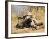 U.S. Marine And a Military Working Dog Provide Security in Afghanistan-Stocktrek Images-Framed Photographic Print