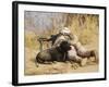 U.S. Marine And a Military Working Dog Provide Security in Afghanistan-Stocktrek Images-Framed Photographic Print