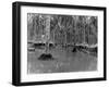 U.S. Marine Corps Camp on Guadalcanal Island During the Rainy Season-null-Framed Photo