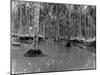 U.S. Marine Corps Camp on Guadalcanal Island During the Rainy Season-null-Mounted Photo