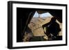 U.S. Marine Provides Aerial Security from a Ch-53E Supe Stallion-null-Framed Photographic Print
