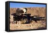 U.S. Marine Scans for Threats During a Firefight in Afghanistan-null-Framed Stretched Canvas