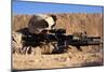 U.S. Marine Scans for Threats During a Firefight in Afghanistan-null-Mounted Photographic Print