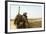 U.S. Marine Takes Cover Behind a Wall During a Patrol in Afghanistan-null-Framed Photographic Print