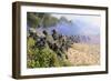 U.S. Marines and the Royal Malaysian Army Conduct an Amphibious Raid Exercise-null-Framed Photographic Print