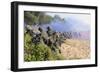 U.S. Marines and the Royal Malaysian Army Conduct an Amphibious Raid Exercise-null-Framed Photographic Print