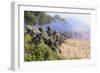 U.S. Marines and the Royal Malaysian Army Conduct an Amphibious Raid Exercise-null-Framed Photographic Print