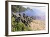 U.S. Marines and the Royal Malaysian Army Conduct an Amphibious Raid Exercise-null-Framed Photographic Print