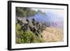 U.S. Marines and the Royal Malaysian Army Conduct an Amphibious Raid Exercise-null-Framed Photographic Print