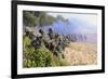 U.S. Marines and the Royal Malaysian Army Conduct an Amphibious Raid Exercise-null-Framed Photographic Print