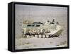 U.S. Marines Assanct Amphibian Vehicle-Bob Daugherty-Framed Stretched Canvas