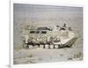 U.S. Marines Assanct Amphibian Vehicle-Bob Daugherty-Framed Photographic Print