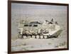 U.S. Marines Assanct Amphibian Vehicle-Bob Daugherty-Framed Photographic Print