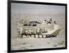 U.S. Marines Assanct Amphibian Vehicle-Bob Daugherty-Framed Photographic Print