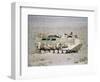 U.S. Marines Assanct Amphibian Vehicle-Bob Daugherty-Framed Photographic Print