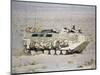 U.S. Marines Assanct Amphibian Vehicle-Bob Daugherty-Mounted Photographic Print