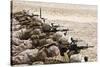 U.S. Marines Conduct a Battlesight Zero their Rifles in Al Galail, Qatar-null-Stretched Canvas