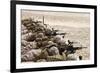 U.S. Marines Conduct a Battlesight Zero their Rifles in Al Galail, Qatar-null-Framed Photographic Print