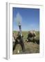 U.S. Marines Fire an M252 81Mm Mortar System-null-Framed Photographic Print