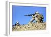 U.S. Marines Provide Security During a Patrol in Afghanistan-null-Framed Premium Photographic Print