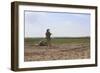 U.S. Marines Provide Security During a Patrol in Afghanistan-null-Framed Photographic Print