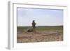 U.S. Marines Provide Security During a Patrol in Afghanistan-null-Framed Photographic Print