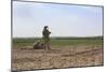 U.S. Marines Provide Security During a Patrol in Afghanistan-null-Mounted Photographic Print
