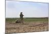 U.S. Marines Provide Security During a Patrol in Afghanistan-null-Mounted Photographic Print