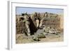 U.S. Marines Take Cover During a Patrol in Afghanistan-null-Framed Photographic Print