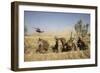 U.S. Marines Watch as Ch-53E Super Stallion Helicopters Land in a Field-null-Framed Photographic Print